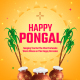 Happy Pongal Greetings Instagram Stories - VideoHive Item for Sale
