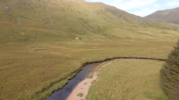Red Deer In The Scottish Highlands Surrounded By Beautiful Landscape alt