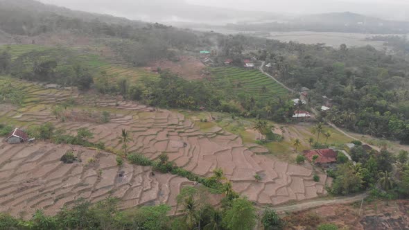 Aerial view clip of green rice field terraces in Indonesia.	