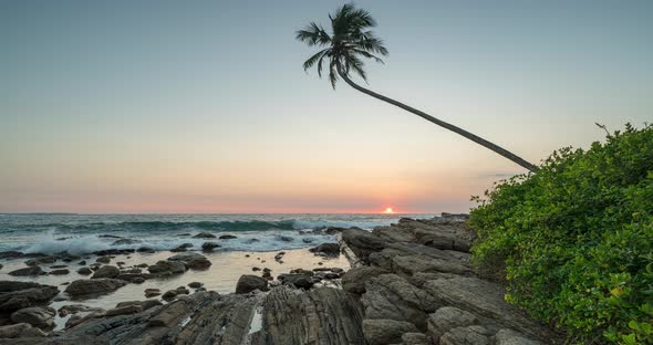  Timelapse View of Palm Trees and Indian Ocean Coastline During Sunrise. Island Sri Lanka.
