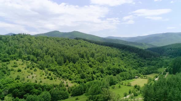 Mountain Forest Aerial View