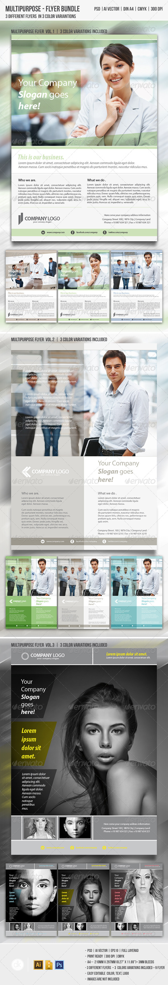 Multipurpose Flyer Bundle - Corporate Flyers