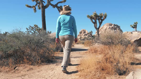 Woman Hiking In Desert With Huge Rocks Hills And Joshua Tree alt