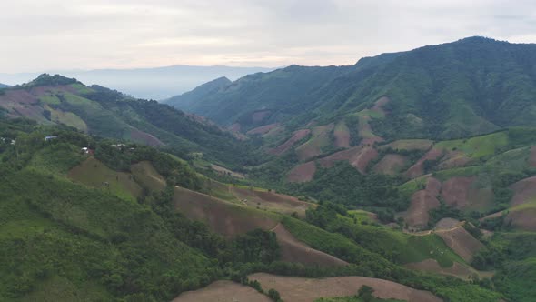 Aerial top view of forest trees and green mountain hill. Nature landscape background, Thailand.