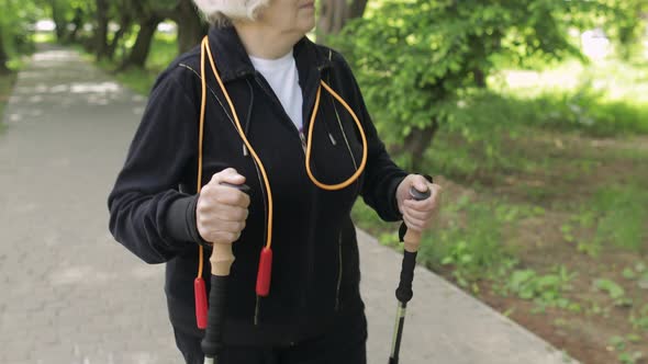 Active Senior Old Woman Training Nordic Walking with Ski Trekking Poles in Park alt