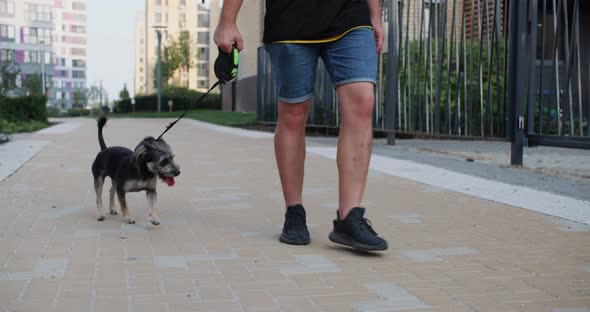 Man is Walking on City Street with His Dog on a Leash Dog Near His Legs