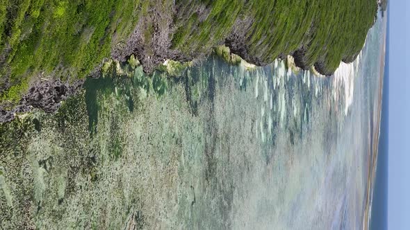 Zanzibar Tanzania  Coast of Island Covered with Thickets Slow Motion alt