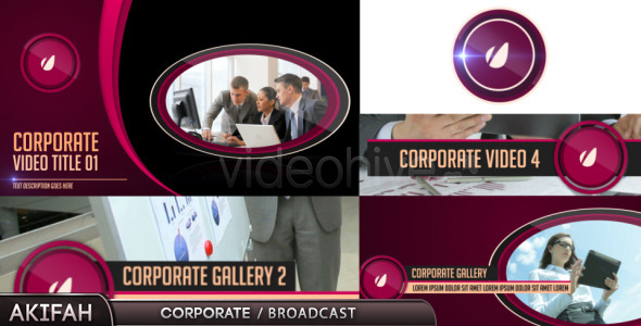 Corporate / Broadcast