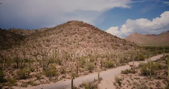 Drone Flying Backwards From Desert Hill and Empty Road Fork in Large Cactus Field at Sunny Arizona alt