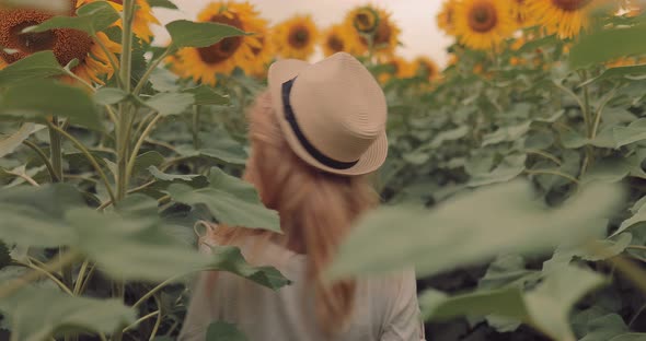 Beautiful Girl in a Hat is Spinning in a Field of Sunflowers