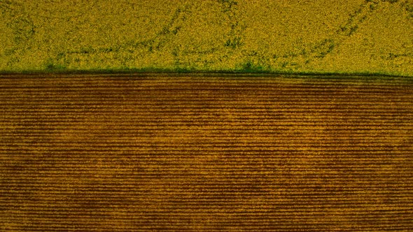 Top View Countryside Landscape with Contrast Color alt
