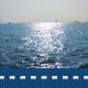 Sea - VideoHive Item for Sale