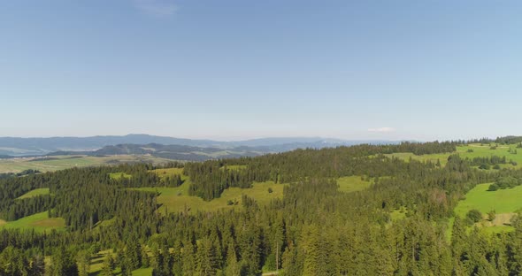Flying Over the Beautiful Forest Trees. Landscape Panorama. alt
