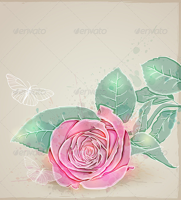 Pink Rose - Flowers & Plants Nature