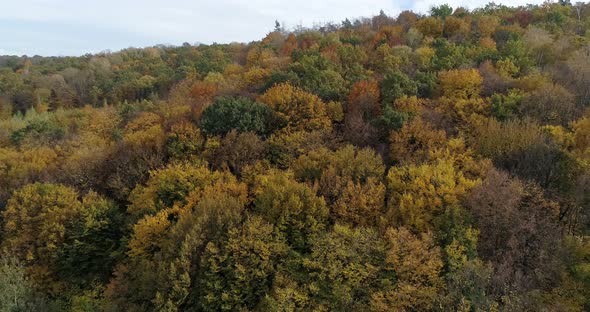 Aerial Autumn Forest Ukraine alt