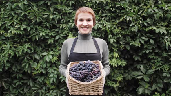 Portrait of Happy Farmer with Grapes Harvest alt