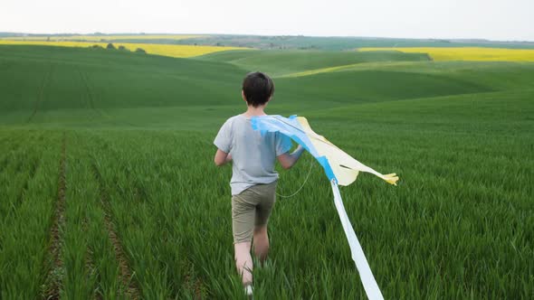 The Boy Walks Across the Field with a Flying Snake in His Hands