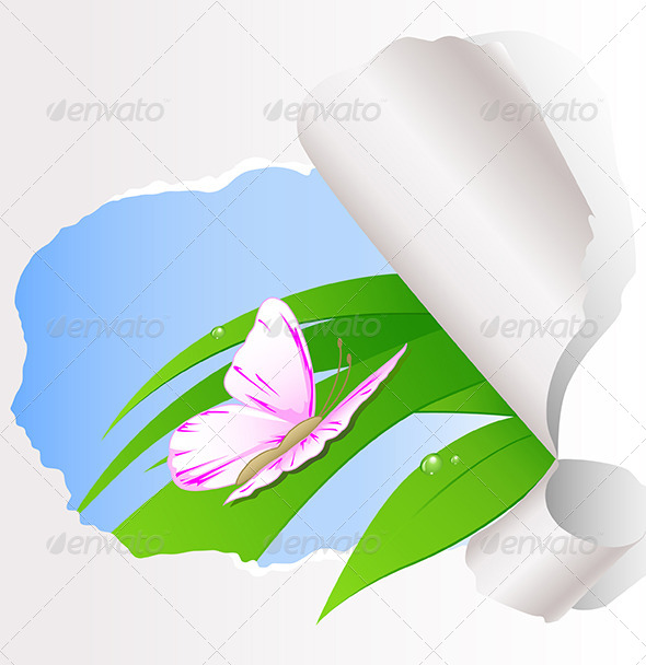 Butterfly Sitting on Green Grass - Animals Characters