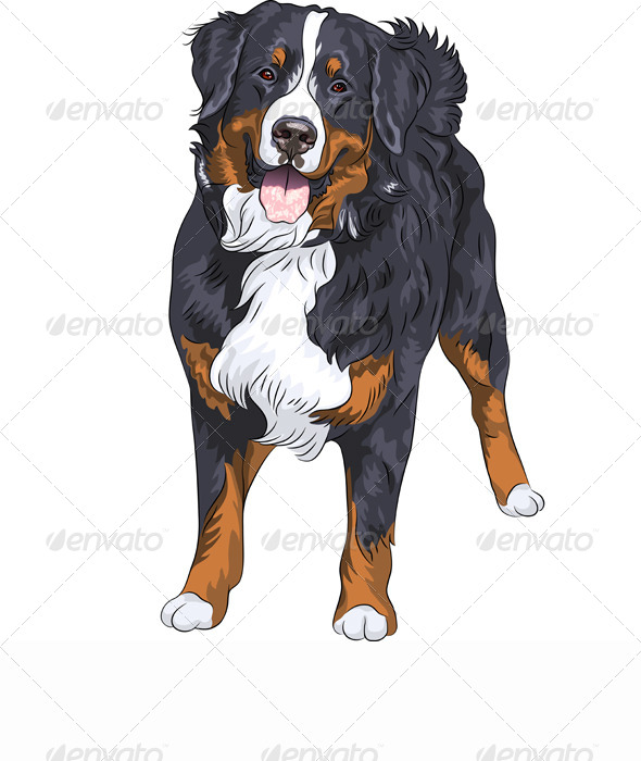 Free Free Dog Smile Svg 826 SVG PNG EPS DXF File