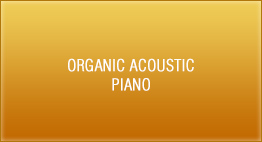 Organic Acoustic - Piano