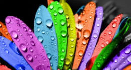 Percussion Drum Logo