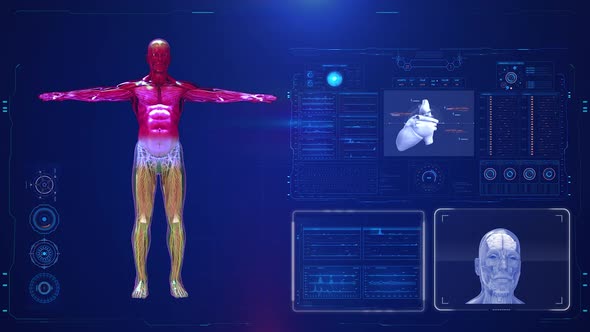 Human Medical HUD Animation
