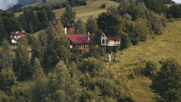Cottage with Treehouse at Forest Aerial alt