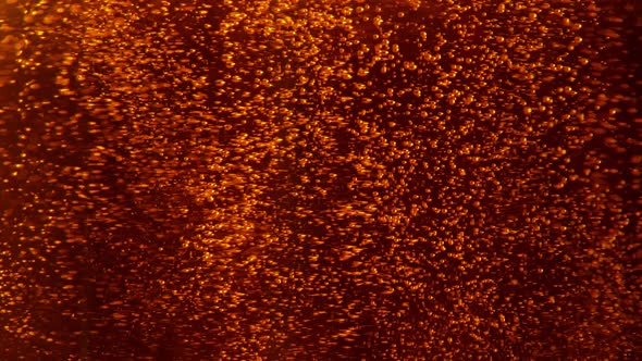 Super Slow Motion Shot of Dark Beer Bubbles Background at 1000Fps alt