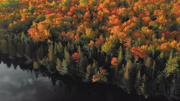 Aerial Footage Slide left while looking down at autumn forest on shore of glassy reflective pond alt
