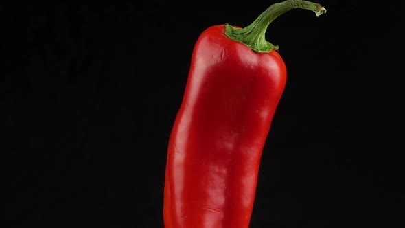 Hot red chilli pepper