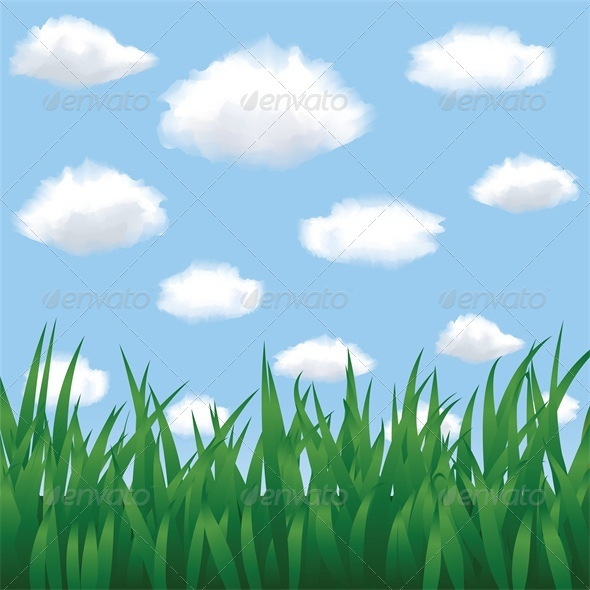 Green Grass, Blue Sky and Clouds in Summertime - Flowers & Plants Nature