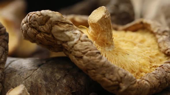 Group of dried whole shiitake mushrooms close up full frame alt