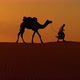 Cameleers Camel Drivers at Sunset - VideoHive Item for Sale