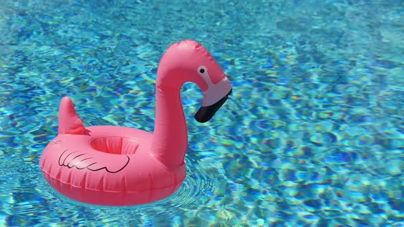 Inflatable Toy of Pink Flamingo in Swimming Pool at Poolside alt
