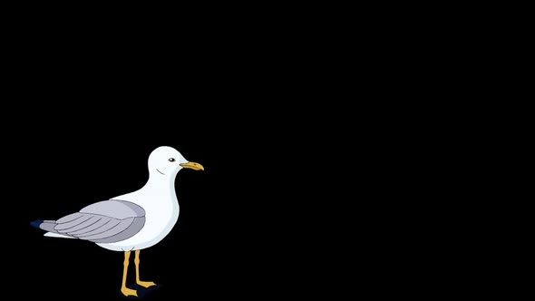 Seagull flies up into the sky alpha mate alt