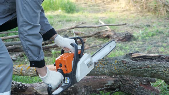 Chainsaw Launch. A Man in Gray Overalls Cuts a Log with a Chainsaw alt