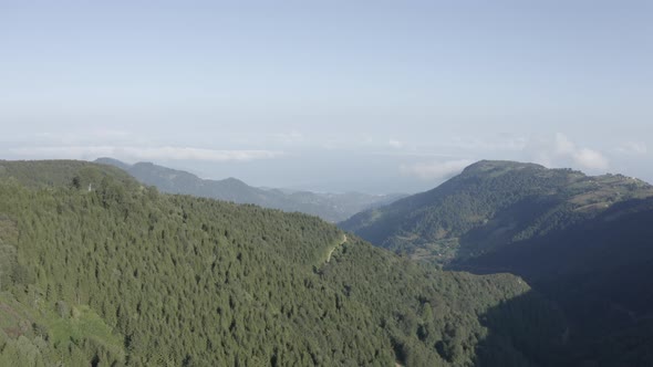 Trabzon City Forest And Mountains Aerial View 6