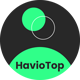 HavioTop - Online Recharge & Payment Platform 