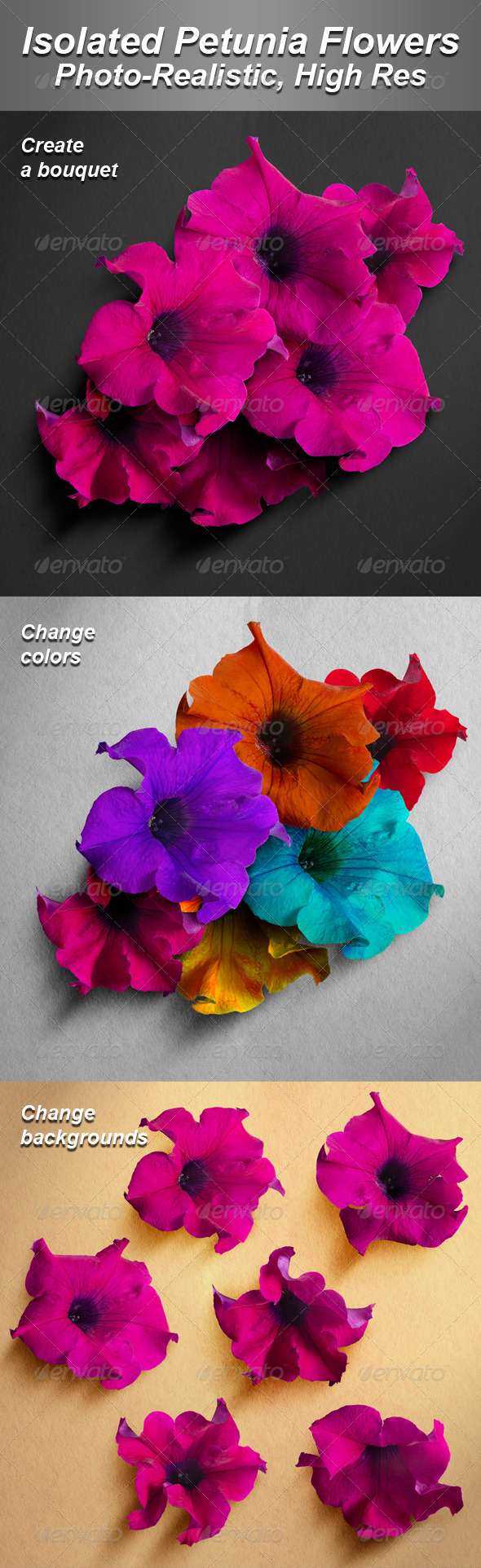 6 Isolated Photo-Realistic Petunia Flowers - Nature & Animals Isolated Objects