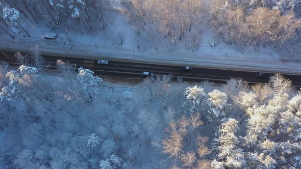 Several Cars Drive Down the Highway in the Middle of a Snowcovered Pine Forest on a Bright Sunny