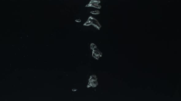 Water Bubbles Going Up In White Background alt