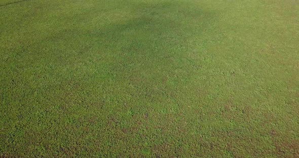 Stunning aerial flight over green field along a huge rock in Tasmania, Australia alt