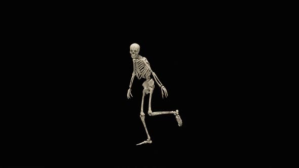 45 Ghost Halloween Dancing HD alt