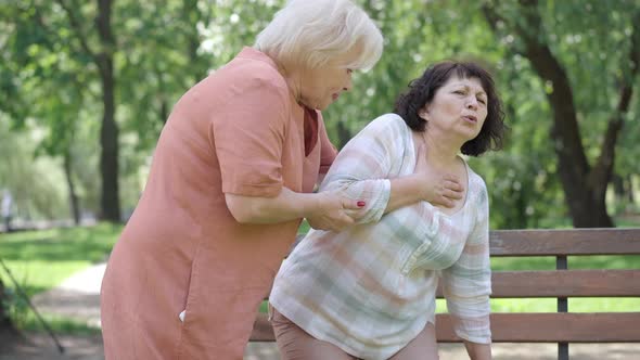 Senior Caucasian Woman Walking Friend with Heart Attack To Bench in Summer Park. Worried Female alt