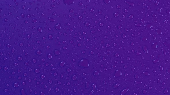 Rotating Violet Background with Water Drops Top View