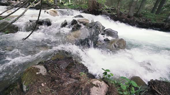 Mountain River with Rocks in Wood Slow Motion Footage Dolomites South Tyrol Italy alt