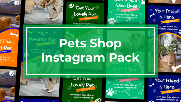 Pets Vertical Instagram Template Openers template preview