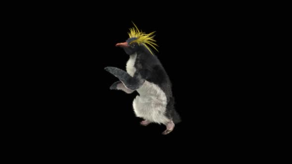 Penguin Dancing HD alt