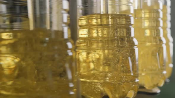 Sunflower Oil in the Bottle Moving on Production Line.