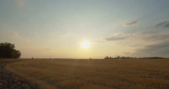 Beautiful Sunset Over a Mown Wheat Field